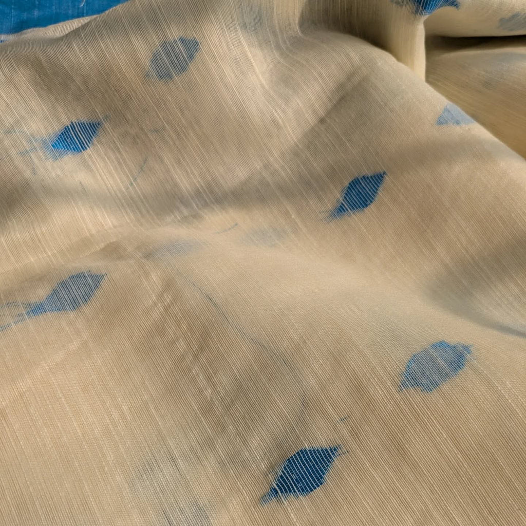 Handloom Sari