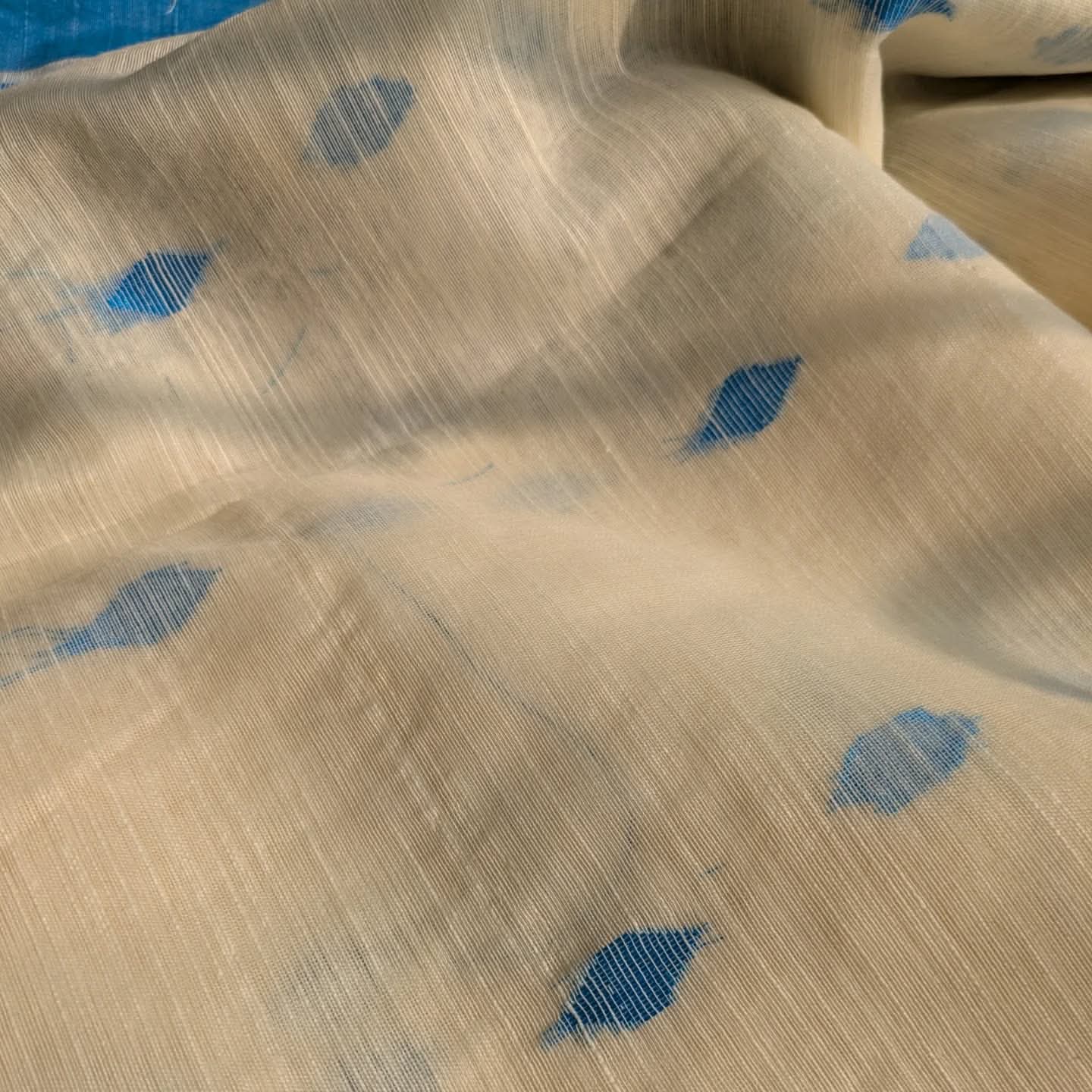 Handloom Sari