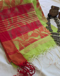 Handloom Sari