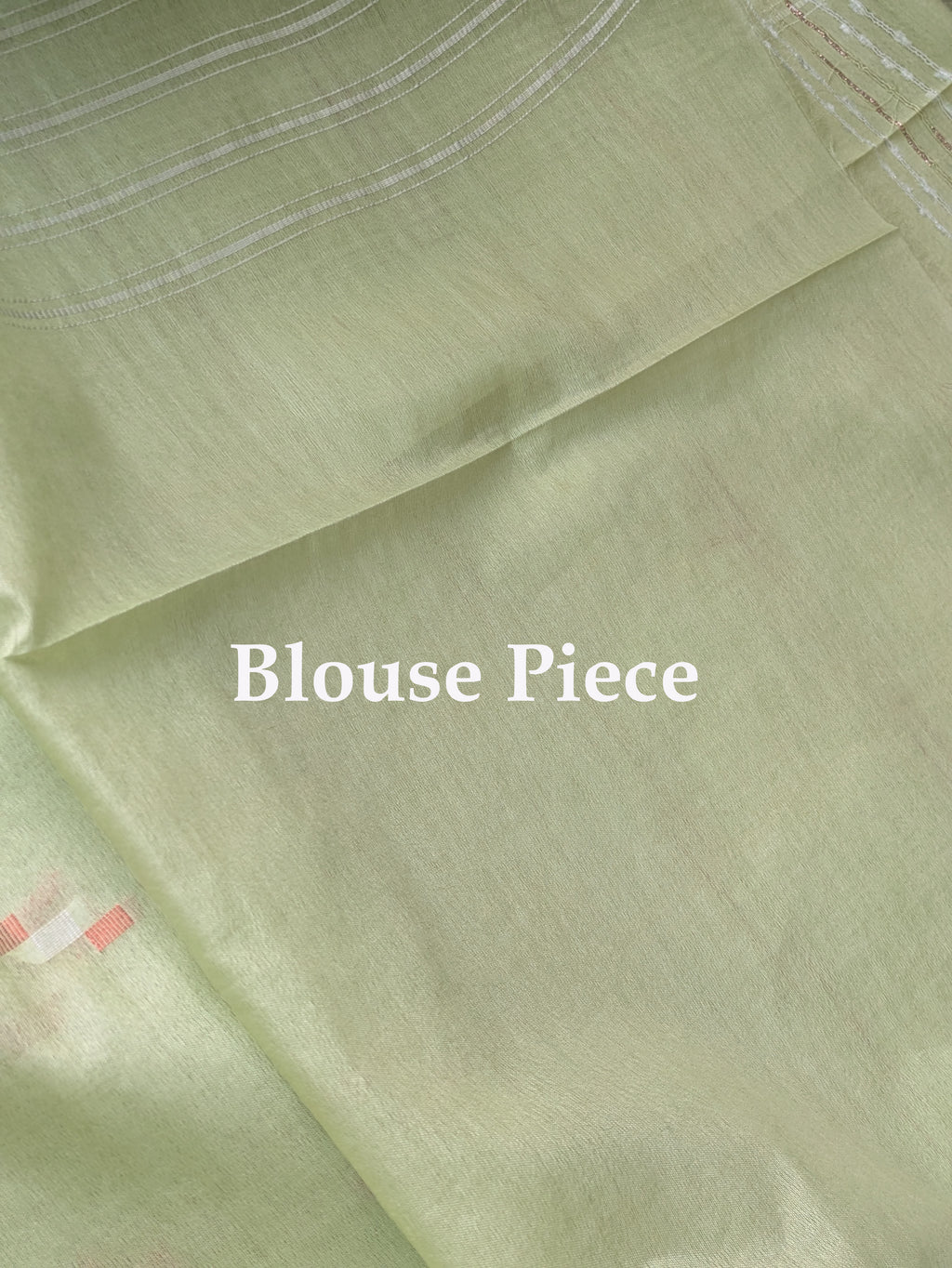 Pistachio Bhagalpuri Sari