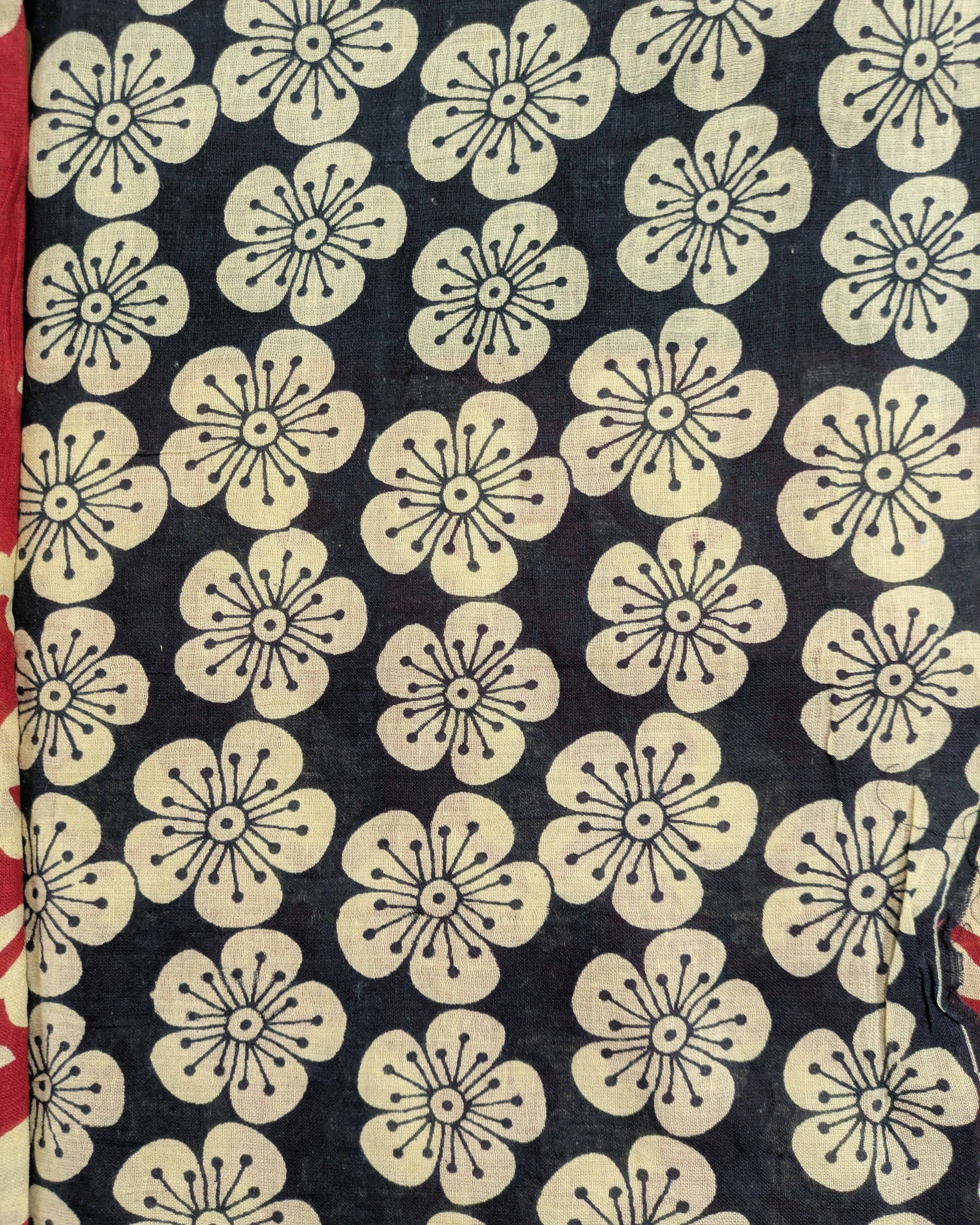 A close-up of a fabric or wallpaper pattern featuring cream-colored five-petal flowers with black centers and stems on a dark navy blue background.