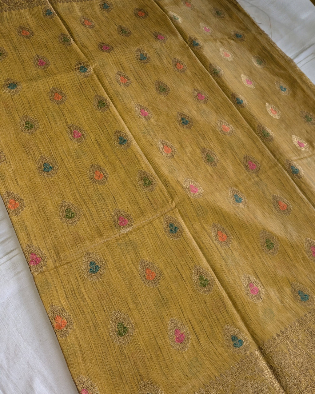 Banswara Silk Banarasi Golden
