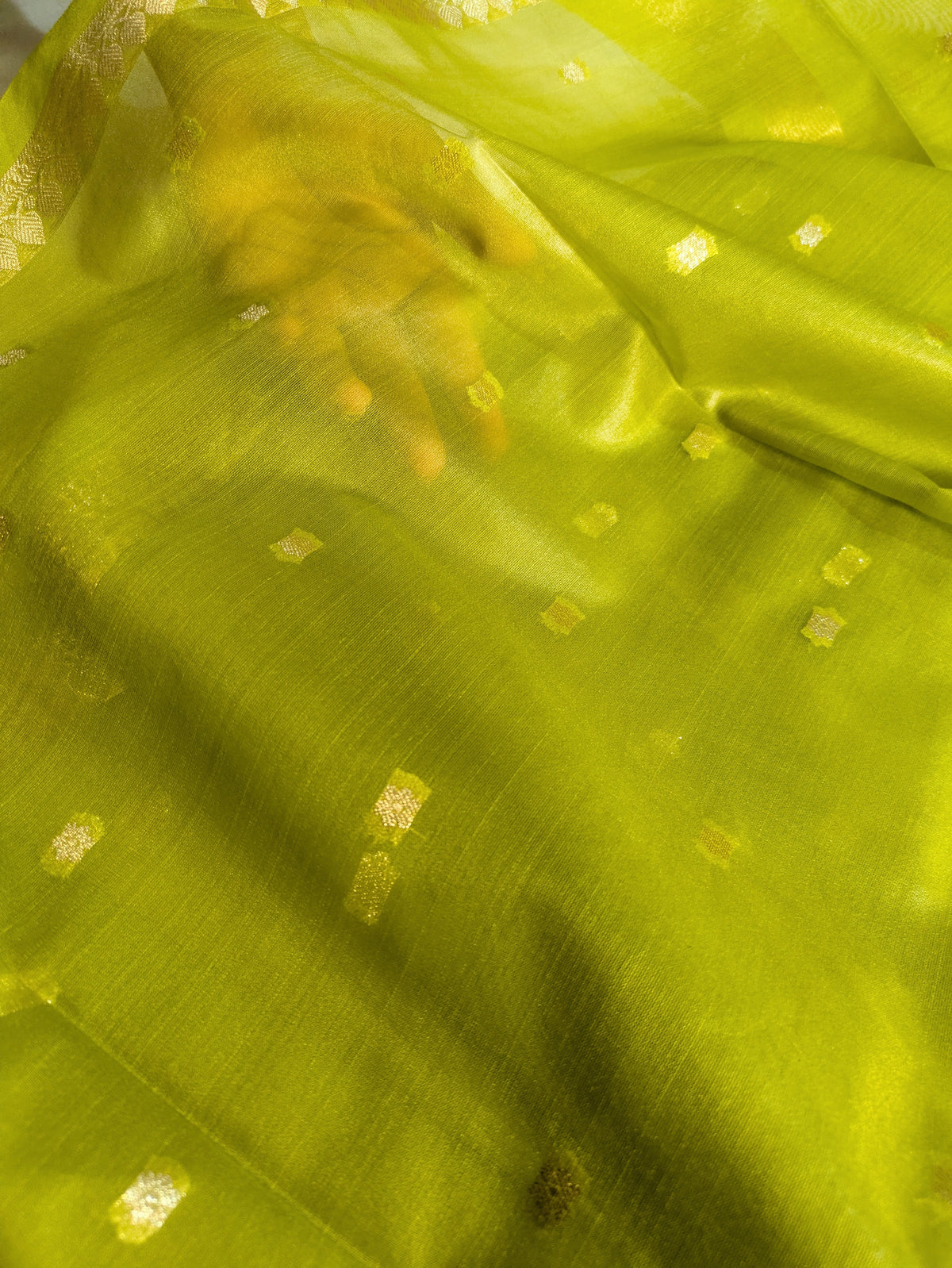 Organza Inch Border Banarasi Sari Green
